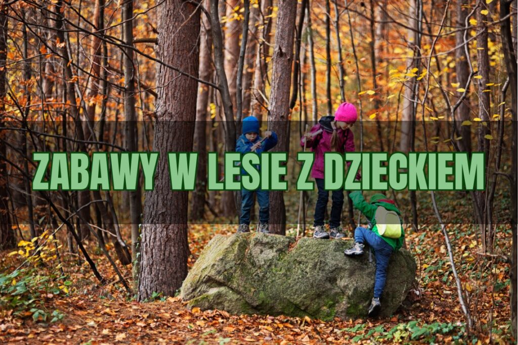 Zabawy w lesie z dzieckiem